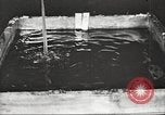 Image of by-products of meat United States USA, 1919, second 17 stock footage video 65675064485