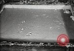 Image of by-products of meat United States USA, 1919, second 20 stock footage video 65675064485