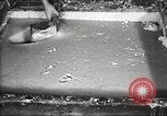 Image of by-products of meat United States USA, 1919, second 23 stock footage video 65675064485
