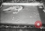 Image of by-products of meat United States USA, 1919, second 24 stock footage video 65675064485