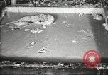 Image of by-products of meat United States USA, 1919, second 26 stock footage video 65675064485