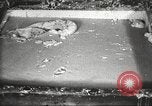 Image of by-products of meat United States USA, 1919, second 27 stock footage video 65675064485
