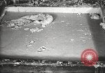 Image of by-products of meat United States USA, 1919, second 28 stock footage video 65675064485