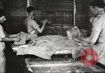 Image of by-products of meat United States USA, 1919, second 45 stock footage video 65675064485