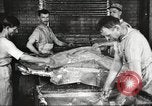 Image of by-products of meat United States USA, 1919, second 50 stock footage video 65675064485