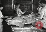 Image of by-products of meat United States USA, 1919, second 51 stock footage video 65675064485