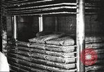 Image of by-products of meat United States USA, 1919, second 56 stock footage video 65675064485