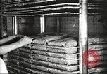 Image of by-products of meat United States USA, 1919, second 57 stock footage video 65675064485