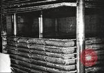 Image of by-products of meat United States USA, 1919, second 61 stock footage video 65675064485