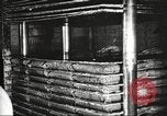 Image of by-products of meat United States USA, 1919, second 62 stock footage video 65675064485
