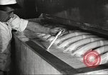 Image of by-products of meat United States USA, 1919, second 12 stock footage video 65675064486