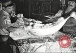 Image of by-products of meat United States USA, 1919, second 45 stock footage video 65675064487