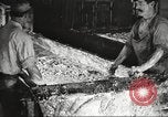 Image of by-products of meat United States USA, 1919, second 48 stock footage video 65675064487