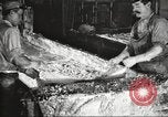 Image of by-products of meat United States USA, 1919, second 52 stock footage video 65675064487