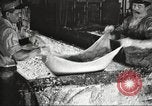 Image of by-products of meat United States USA, 1919, second 53 stock footage video 65675064487