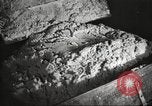 Image of by-products of meat United States USA, 1919, second 55 stock footage video 65675064487