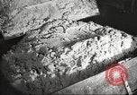 Image of by-products of meat United States USA, 1919, second 60 stock footage video 65675064487