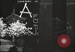 Image of Cherry Blossom Time Japan, 1920, second 12 stock footage video 65675064488