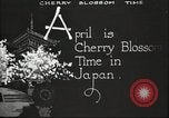 Image of Cherry Blossom Time Japan, 1920, second 13 stock footage video 65675064488