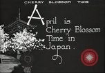 Image of Cherry Blossom Time Japan, 1920, second 14 stock footage video 65675064488