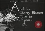 Image of Cherry Blossom Time Japan, 1920, second 17 stock footage video 65675064488