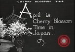 Image of Cherry Blossom Time Japan, 1920, second 20 stock footage video 65675064488