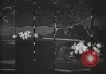 Image of Cherry Blossom Time Japan, 1920, second 38 stock footage video 65675064488