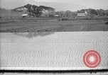 Standbild japanischen Landwirte Japan, 1920, aus Sekunde 4 historischem Filmmaterial Videoclip 65675064490