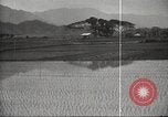 Standbild japanischen Landwirte Japan, 1920, aus Sekunde 12 historischem Filmmaterial Videoclip 65675064490
