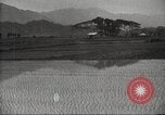 Standbild japanischen Landwirte Japan, 1920, aus Sekunde 13 historischem Filmmaterial Videoclip 65675064490