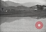 Standbild japanischen Landwirte Japan, 1920, aus Sekunde 18 historischem Filmmaterial Videoclip 65675064490