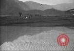 Standbild japanischen Landwirte Japan, 1920, aus Sekunde 23 historischem Filmmaterial Videoclip 65675064490