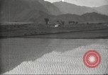 Standbild japanischen Landwirte Japan, 1920, aus Sekunde 26 historischem Filmmaterial Videoclip 65675064490