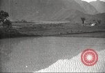 Standbild japanischen Landwirte Japan, 1920, aus Sekunde 32 historischem Filmmaterial Videoclip 65675064490