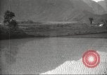 Standbild japanischen Landwirte Japan, 1920, aus Sekunde 33 historischem Filmmaterial Videoclip 65675064490