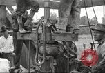 Image of Oil well in 1920s America United States USA, 1920, second 13 stock footage video 65675064496