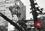 Immagine di Alejandro Carrasquel Aparicio New York City USA, 1939, secondo 33 filmato di repertorio 65675064538