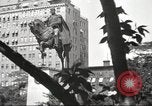 Immagine di Alejandro Carrasquel Aparicio New York City USA, 1939, secondo 34 filmato di repertorio 65675064538