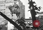Immagine di Alejandro Carrasquel Aparicio New York City USA, 1939, secondo 35 filmato di repertorio 65675064538