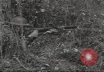 Standbild amerikanische Soldaten United States USA, 1942, aus Sekunde 3 historischem Filmmaterial Videoclip 65675064541
