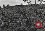 Image des soldats américains United States USA, 1942, de la seconde 16 séquences d'archives historiques vidéo 65675064542