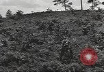 Image des soldats américains United States USA, 1942, de la seconde 17 séquences d'archives historiques vidéo 65675064542