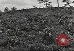 Image des soldats américains United States USA, 1942, de la seconde 20 séquences d'archives historiques vidéo 65675064542