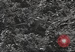 Image des soldats américains United States USA, 1942, de la seconde 25 séquences d'archives historiques vidéo 65675064542