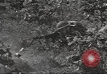 Image des soldats américains United States USA, 1942, de la seconde 36 séquences d'archives historiques vidéo 65675064542