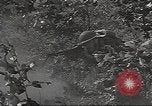 Image des soldats américains United States USA, 1942, de la seconde 51 séquences d'archives historiques vidéo 65675064542