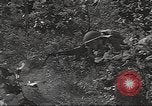 Image des soldats américains United States USA, 1942, de la seconde 55 séquences d'archives historiques vidéo 65675064542