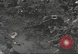 Image des soldats américains United States USA, 1942, de la seconde 57 séquences d'archives historiques vidéo 65675064542