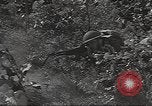 Image des soldats américains United States USA, 1942, de la seconde 58 séquences d'archives historiques vidéo 65675064542