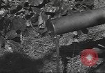 Image des soldats américains United States USA, 1942, de la seconde 47 séquences d'archives historiques vidéo 65675064544